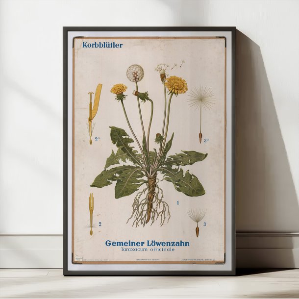 Mlkebtte 1961 - Biologi &amp; botanik