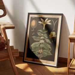 Kaffetr 1880 - Biologi &amp; botanik