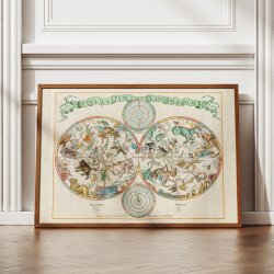 Stellatum Planisphrium 1681 - Skort