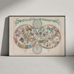 Stellatum Planisphrium 1681 - Skort