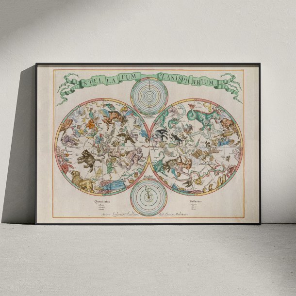 Stellatum Planisphrium 1681 - Skort