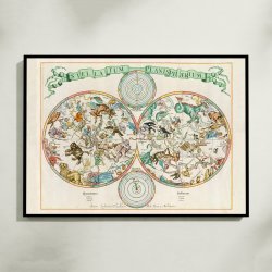 Stellatum Planisphrium 1681 - Skort