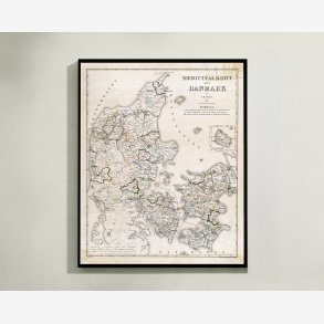 Medicinalkort over Danmark 1873 - 55x68 cm