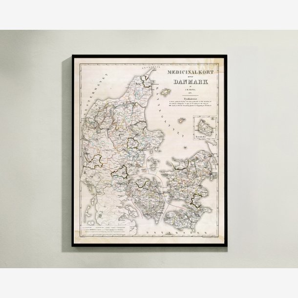 Medicinalkort over Danmark 1873 - 55x68 cm