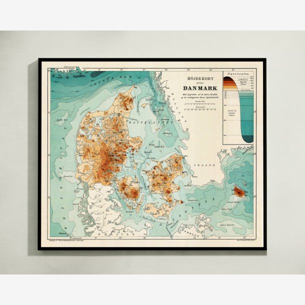 Skovareal i Danmark 1888 - 65x54 cm