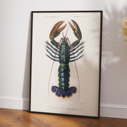 Krebsdyr 1892 - Crimson Crawfish