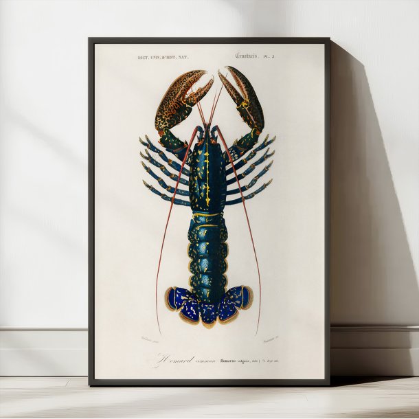 Krebsdyr 1892 - Crimson Crawfish