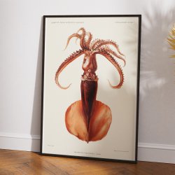 Blksprutte I - Campagnes Scientifiques