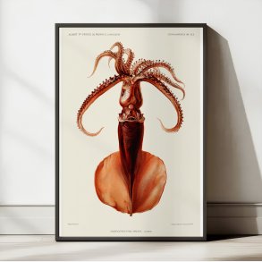 Blksprutte I - Campagnes Scientifiques