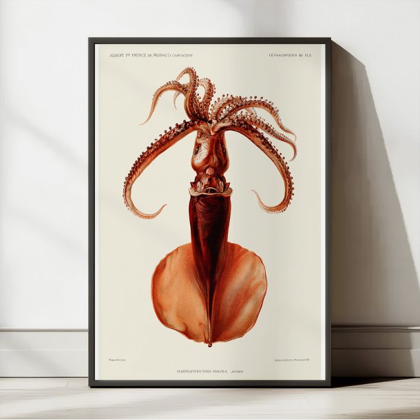 Blksprutte I - Campagnes Scientifiques