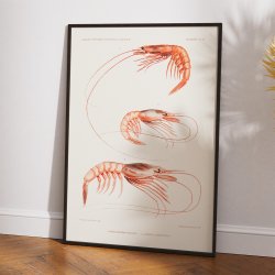 Rejearter - Campagnes Scientifiques