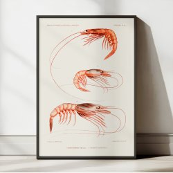 Rejearter - Campagnes Scientifiques