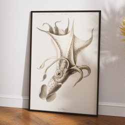 Skvejet blksprutte - Zoologisk plakat