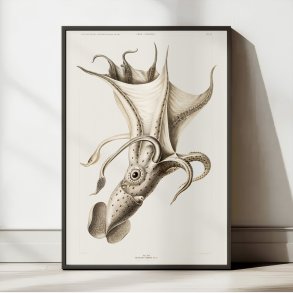 Skvejet blksprutte - Zoologisk plakat