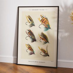 Fiskefluer til laks - 1892