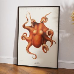 Blksprutte 1899 - Vintage plakat