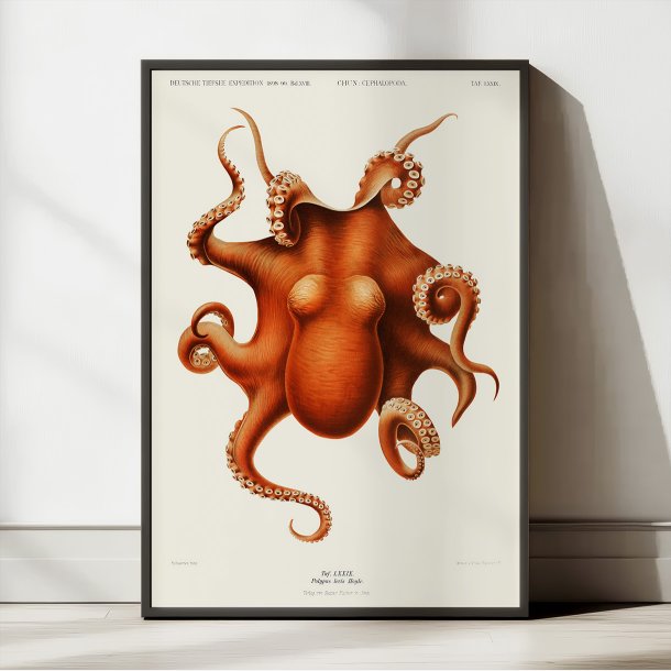 Blksprutte 1899 - Vintage plakat