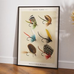 Fiskefluer til Aborrer &amp; Havbars 1892