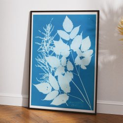 Tyrol 1854 - Anna Atkins plakat