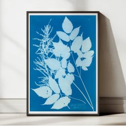 Tyrol 1854 - Anna Atkins plakat