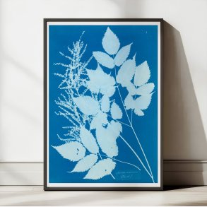 Tyrol 1854 - Anna Atkins plakat
