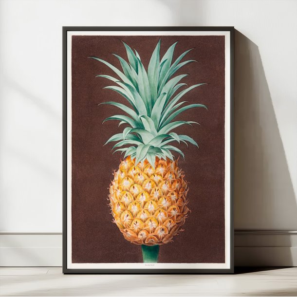 Ananas 1807 - Antigua Green Pine