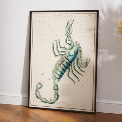 Stjernetegnet Skorpion - vintage astrologi