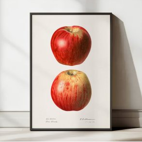 bler - Malus Domestica - 1921