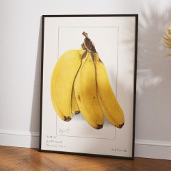 Bananer 1904 - Plakat