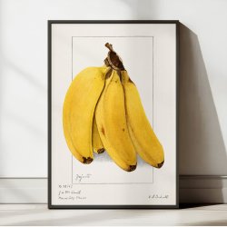 Bananer 1904 - Plakat