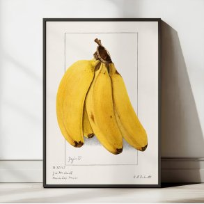 Bananer 1904 - Plakat