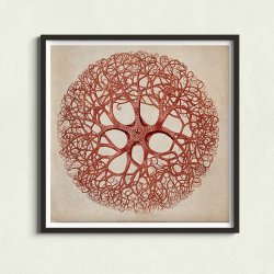 Dyrisk tvrsnit - Ledorm &amp; Nldecelledyr