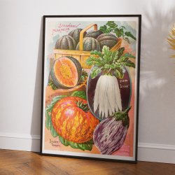 Childs' Rare Flowers - vintage fr�katalog - 1900