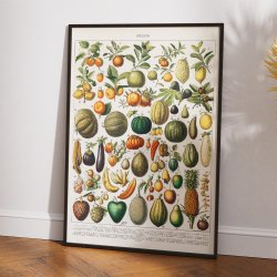 Frugt 1898 - Nouveau Larousse - Plakat