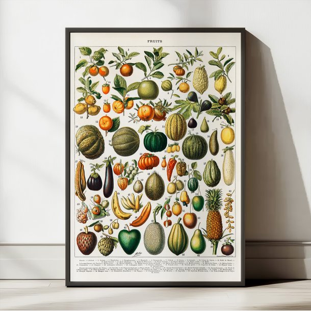 Frugt 1898 - Nouveau Larousse - Plakat
