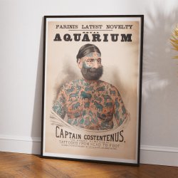 Captain Costentenus 1880 - Vintage plakat