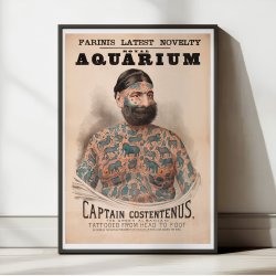 Captain Costentenus 1880 - Vintage plakat