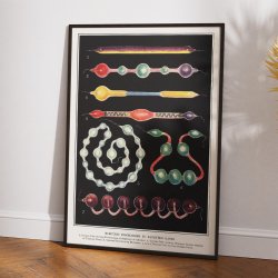 Elektriske Udladninger 1880 - Fysik &amp; kemi - Plakat