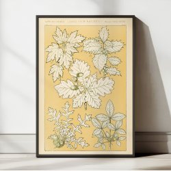 Planter i Gul II 1856 - Plakat