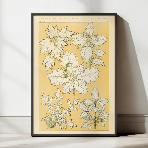 Planter i Gul II 1856 - Plakat